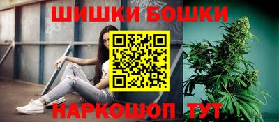 индика Кулебаки