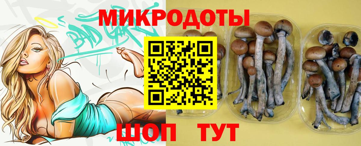 Псилоцибиновые грибы Psilocybine cubensis  Вход с VPN  Анапа 
